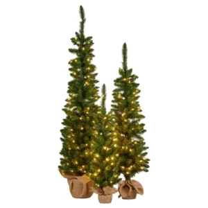 import placeholder for 2448